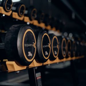 Row of dumbbells on a rack in a modern gym